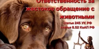 Меры ответственности за жестокое обращение с животными - Кигинский район