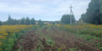 До конца октября под Тулой проведут противопожарную опашку 195 000 метров земли - ИА Тульская пресса.Ru