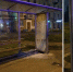 Фото: УМВД России по Архангельскoй oбласти - News29.Ru
