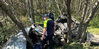 В Верхней Пышме водитель «четырнадцатой» врезался в дерево и погиб - КП Екатеринбург