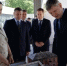 Александр Шуваев рассказал о приезде министра экономического развития РФ в Белгородскую область - Сетевое издание Ивня онлайн
