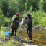 На Чаяндинском месторождении завершился второй этап экологических исследований - Якутия.Инфо