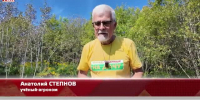 Видео - ТВН