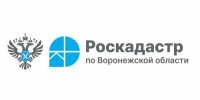 О деятельности филиала публично-правовой компании "Роскадастр". - Рамонский район