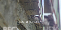 Воронежцы показали удручающее состояние моста на станции Придача - ГТРК Воронеж