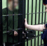 Тамбовскими полицейскими задержана участница мошеннической схемы, участвовавшая в хищении более 1 млн рублей у пенсионера - УМВД Тамбовской области
