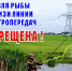Памятка о проведении сельскохозяйственных работ в охранных зонах ЛЭП. - Бабушкинский муниципальный округ