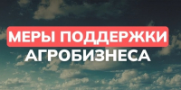Меры поддержки малого агробизнеса - Судиславский муниципальный округ