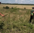 Для иллюстрации. Фото правительства Ростовской области - DonNews.Ru