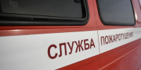 Под Первоуральском в пожаре погиб человек - КП Екатеринбург