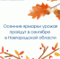 Стал известен график осенних сельскохозяйственных ярмарок - Минпромторг Новгородской области