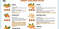 29 августа «Ореховый спас»: как выбрать орехи? - Гагаринский муниципальный округ