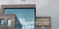 Бастрыкин поручил возбудить дело после нападения на пешехода в Кирове - Свойкировский.рф