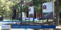 В парке возле стадиона «Кубань» открылась Аллея памяти героям специальной военный операции - Министерство физической культуры и спорта