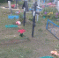 Белгородка украла с кладбища сосну и цветы - Комсомольская Правда