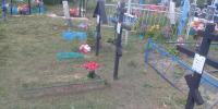 Белгородка украла с кладбища сосну и цветы - Комсомольская Правда