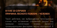 В 9 из 10 случаев причина лесного пожара - человек - Администрация г. Геленджика