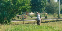 В Белгородском округе продолжаются мероприятия по поддержанию санитарно-экологического порядка. - Администрация Белгородского района