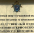 Жительница Воронежа задержана по подозрению в убийстве сожителя - Следственный комитет