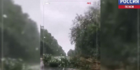 130 бригад устраняют последствия урагана в Псковской области - ГТРК Псков