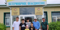 Воспитанники приюта «Мечта» побывали в гостях у ветеринаров - Министерство труда