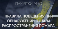 МЧС России напоминает основные правила поведения при обнаружении начала распространения пожара - Пачелмский район