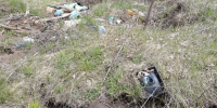 В заповедной зоне под Воронежем ликвидировали незаконную свалку - ГТРК Воронеж