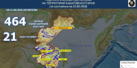 Утро в Хабаровске: +16°C, небольшой дождь, уровень Амура 507 см - AmurMedia.Ru