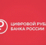 Пока выбор за нами - Время Биробиджана