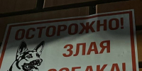 В Бурятии алабай набросился на мужчину, защищавшего своего ребёнка - ИА Байкал-Daily