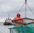 Камчатские моряки смогут проголосовать досрочно на борту судов - КамИНФОРМ