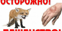 Тамалинская участковая больница информирует - Тамалинский район