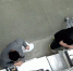 40 тысяч за три месяца: в Новосибирске мужчина пойдет под суд за кражи в строительном магазине - Precedent.TV