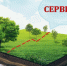 Информация об установлении публичных сервитутов от 25.08.2026 - Администрация города Юрга