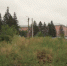 В центре Рубцовска образовался пустырь (ВИДЕО) - Rubtsovsk.Info