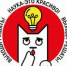 изображение для новости - УлГУ