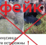 Информация о нападении медведя в Минусинском округе - фейк. - Администрация