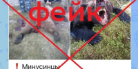 Информация о нападении медведя в Минусинском округе - фейк. - Администрация