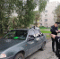 Автоледи на «Дэу» сбила семилетнего мальчика на самокате в Серове - Фото 2 - JustMedia