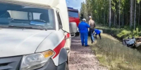 За сутки в Ленобласти спасены 15 человек: статистика от МЧС - ЛенТВ24