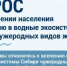 Изучается отношение населения о вселении в водные экосистемы Сибири чужеродных видов животных - Департамент охотничьего и рыбного хозяйства
