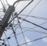 0J2A2594.jpg - Gorod48.ru