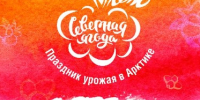 Праздник урожая в Арктике: что ждет гостей юбилейной «Северной ягоды» - Администрация города