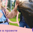 Открыт приём заявок на проект «Больше, чем блогер» - Министерство культуры и туризма