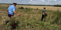 Суд обязал казаков вернуть землю в Цимлянском районе: участок фактически обрабатывал фермер - Ростов161