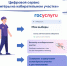 На портале «Госуслуги» начал работу цифровой сервис для помощи избирателям «Волонтёры на избирательном участке» - Администрация города