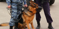 В отношении мужчины возбуждено уголовное дело||Фото: С. Красильников (архив) - Пензенская Правда