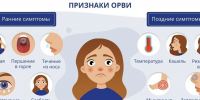 Сезон ОРВИ начал наступление... - Tvoy-Bor.Ru