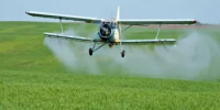 С 24 по 31 августа в полях возле Нижнезаитово будет проводиться обработка подсолнечника - Администрация Туймазинского района