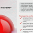 Сервис «Запрос о платеже». - Администрация г. Шадринска